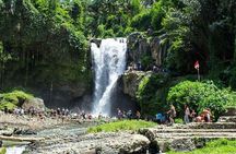 Bali Private Car Hire with Driver