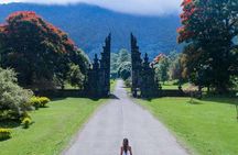 Bedugul, Waterfall, Tanah Lot sunset tour