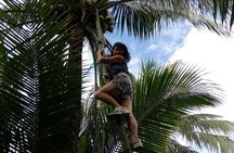 Damnoen Saduak Floating Market Small Group Tour