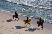 Puerto Plata: Sunset Beach Horseback Riding