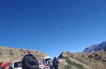 Excursion to Colca Canyon 1 Day