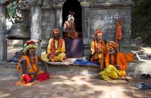 Luxury World Heritage Sightseeing Tour