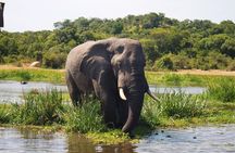 Three Days Murchison Falls National Park Tour in Uganda