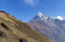 Mardi Himal Trek (A short 8 Days Trek from Kathmandu)