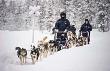 COMBO Private tour HUSKY and REINDEER Park by VIP car with guide 