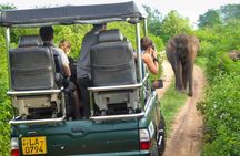 Safari at Udawalawe National Park