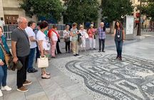 Private tour of central Granada. Total per group max 15 people