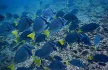 Cabo Rosa (Tuneles) Hiking & Snorkeling Tour from Isabela