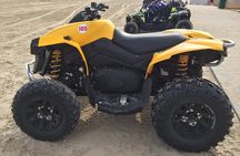 Self Ride A T V - 4 x 4 All terrain (1 hour)