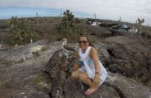 Cabo Rosa (Tuneles) Hiking & Snorkeling Tour from Isabela