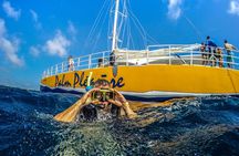 Aruba Afternoon Snorkel Sail aboard Palm Pleasure Catamaran