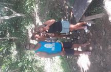 Biausevu Waterfall with New Dawn Tours Fiji