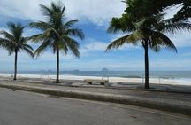 The Christ the Redeemer, the Sugar Loaf and the beaches of the "South Zone"