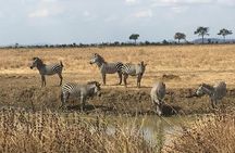 Day Trip From Zanzibar To Mikumi
