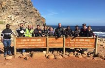 Full Day Cape Peninsula Motorcycle Tour on a Royal Enfield
