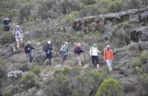 9 Days Mount Kilimanjaro Climb Machame Route