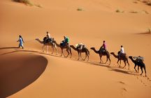 Desert Delights: 4-Day From Fes to Merzouga and Marrakech