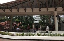 Kuala Lumpur Cruise Excursions from Port Klang for KL City Tour
