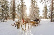 COMBO Private tour HUSKY and REINDEER Park by VIP car with guide 
