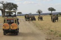 8 Days 7 Nights Private Lodge Safari