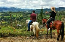 Horseback Riding in Medellin Private Tour: Great Views & Horses 