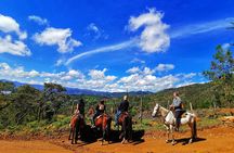 El Peñol Rock & Horseback Riding & Guatape Town From Medellin