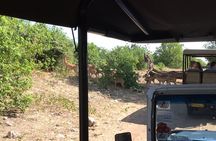 Chobe Full day Trip