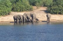 Chobe Full day Trip
