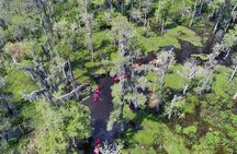 Small-Group Manchac Swamp Kayak Tour