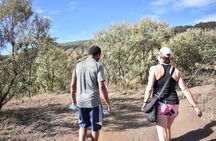1 Day Mt Longonot Hike from Nairobi