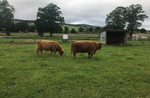 Culloden Battlefield, Clava Cairns and Loch Ness, Urquhart Castle