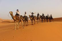 Desert Safari Dubai