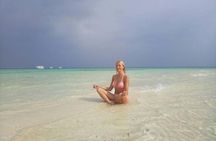 Sorkeling Trip to the White Island & Ras Mohammed