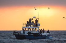 CapeTown: Shark Cage Diving Experience with Scuba 