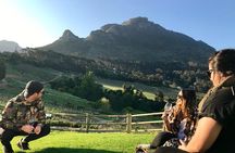 Cape Town Peninsula Day Tour ( Cape Point/Boulders/Wine Tasting)