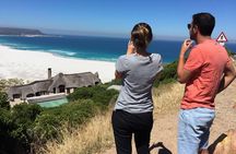 Cape Town Peninsula Day Tour ( Cape Point/Boulders/Wine Tasting)
