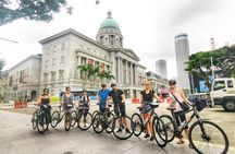 Historical Singapore Bike Tour on Full-Sized Bicycles