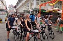 Historical Singapore Bike Tour on Full-Sized Bicycles