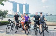 Singapore Highlights Small Group Bike Tour on Full-Sized Bicycles