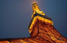 Tokyo Private Tour with Native Japanese Driver