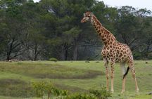 Kragga Kamma Game Park from Port Elizabeth 