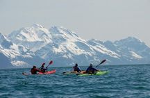 Resurrection Bay Kayaking Adventure