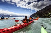 Resurrection Bay Kayaking Adventure