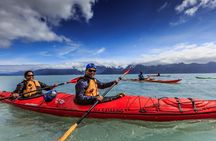 Tonsina Point Kayak and Exploration