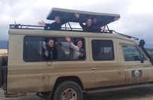Day Trip to Ngorongoro Crater