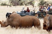Lake Nakuru Day Tour From Nairobi
