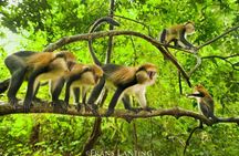 4 Days Cultural and Village Stay Experience