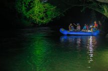 Small Group Twilight Wildlife Boat Tour in La Fortuna
