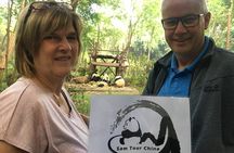 Private Half-Day Chengdu Panda Breeding Center Tour with Optional Volunteer