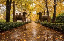 Nanjing Day Tour from Shanghai by Bullet Train